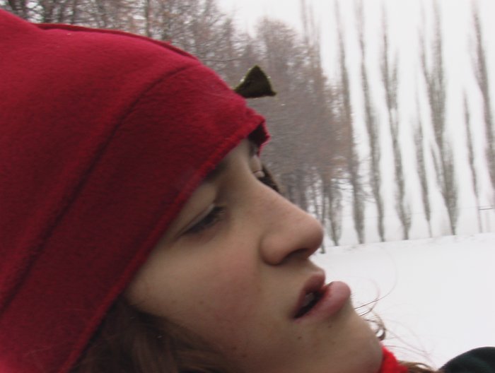 027 Expedice GEMINI 2004